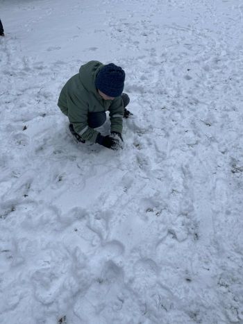 04129abb-eea7-403f-983e-5a729eea4c02