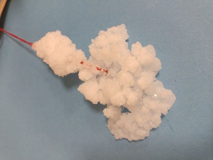 2026_01 (12) 2026_01 (12)