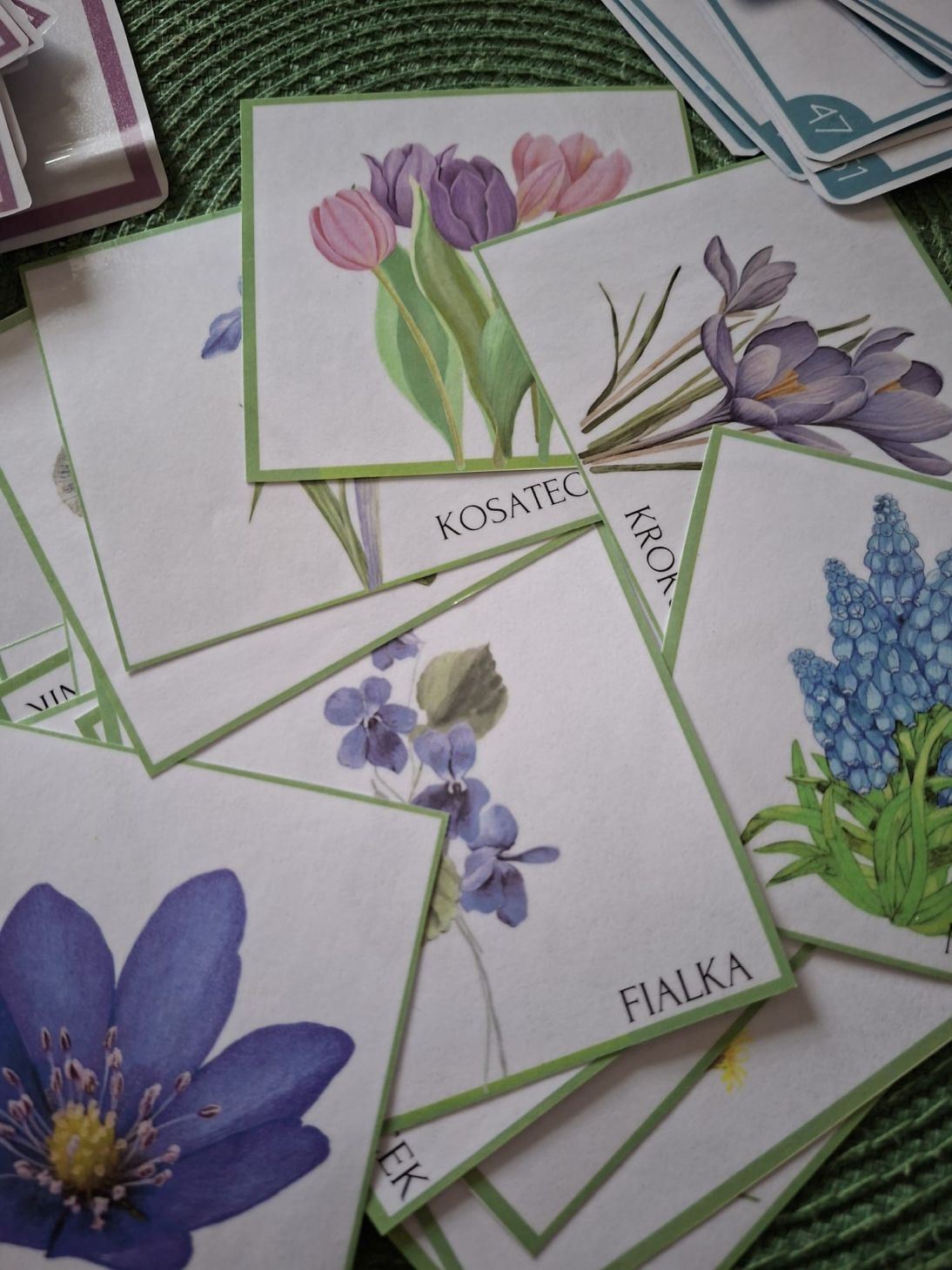 2390147b-a6de-446f-a413-6e789644c516