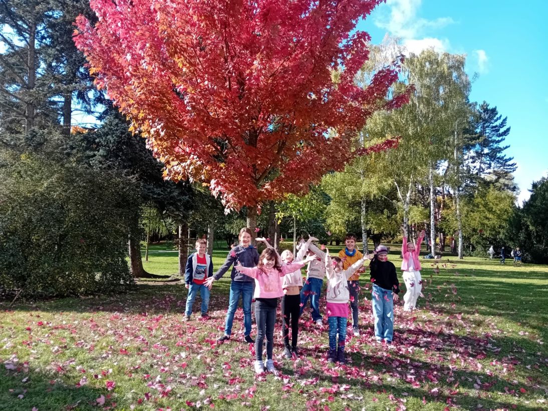 2ab566a6-73ef-4e6a-ad7a-40b2202a53a5 2ab566a6-73ef-4e6a-ad7a-40b2202a53a5