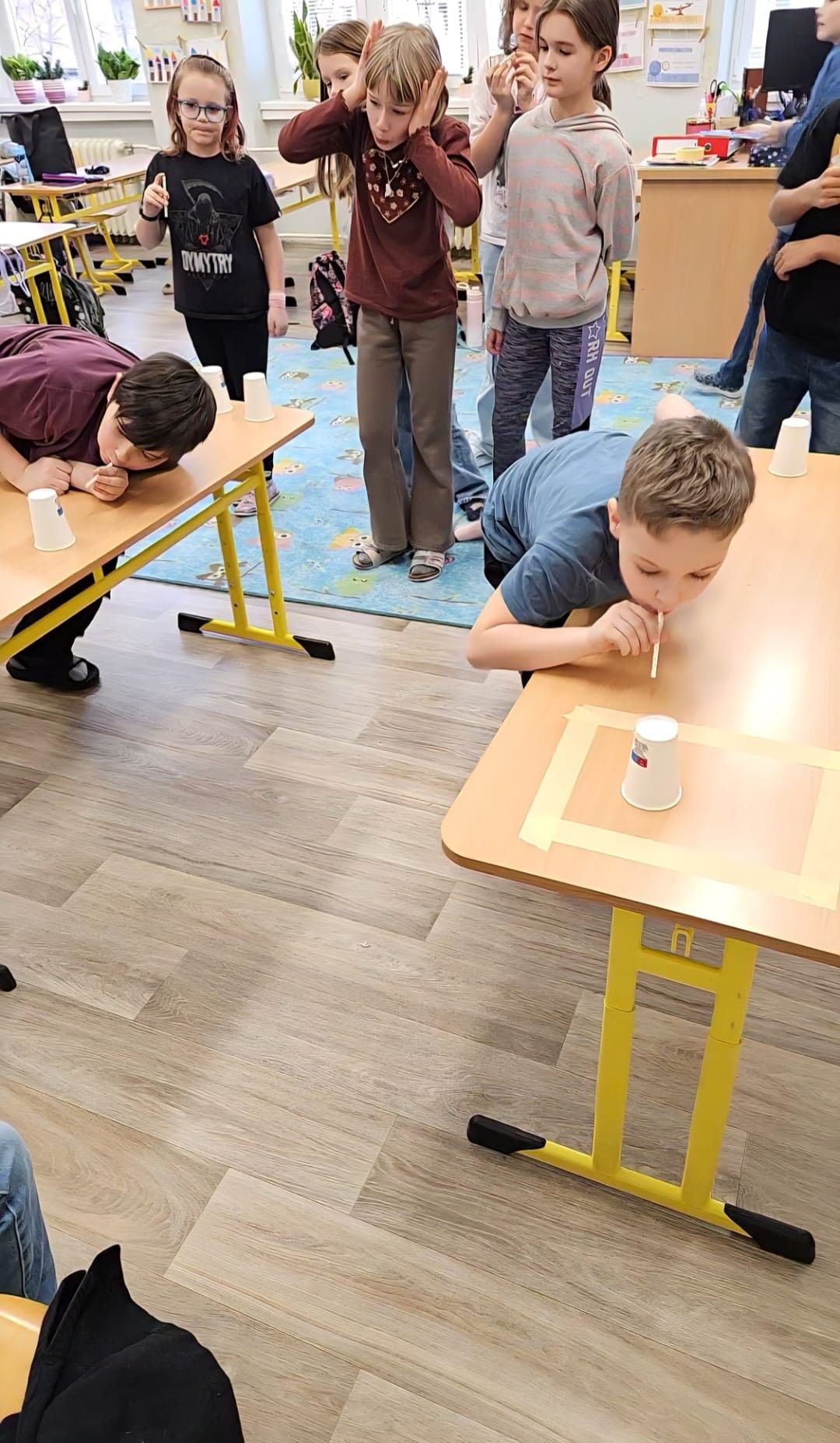 4870d219-2f4c-4971-bc9a-c6db9c545c12