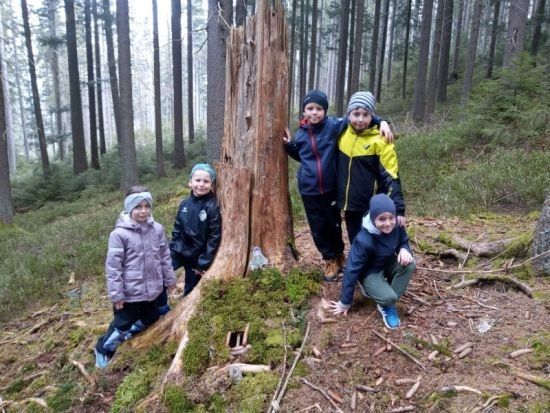 7.odd-26dubenŠvp4