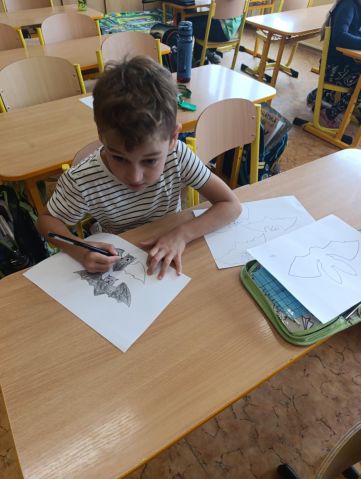 866c8db5-6e08-45e0-b298-c443398b7326