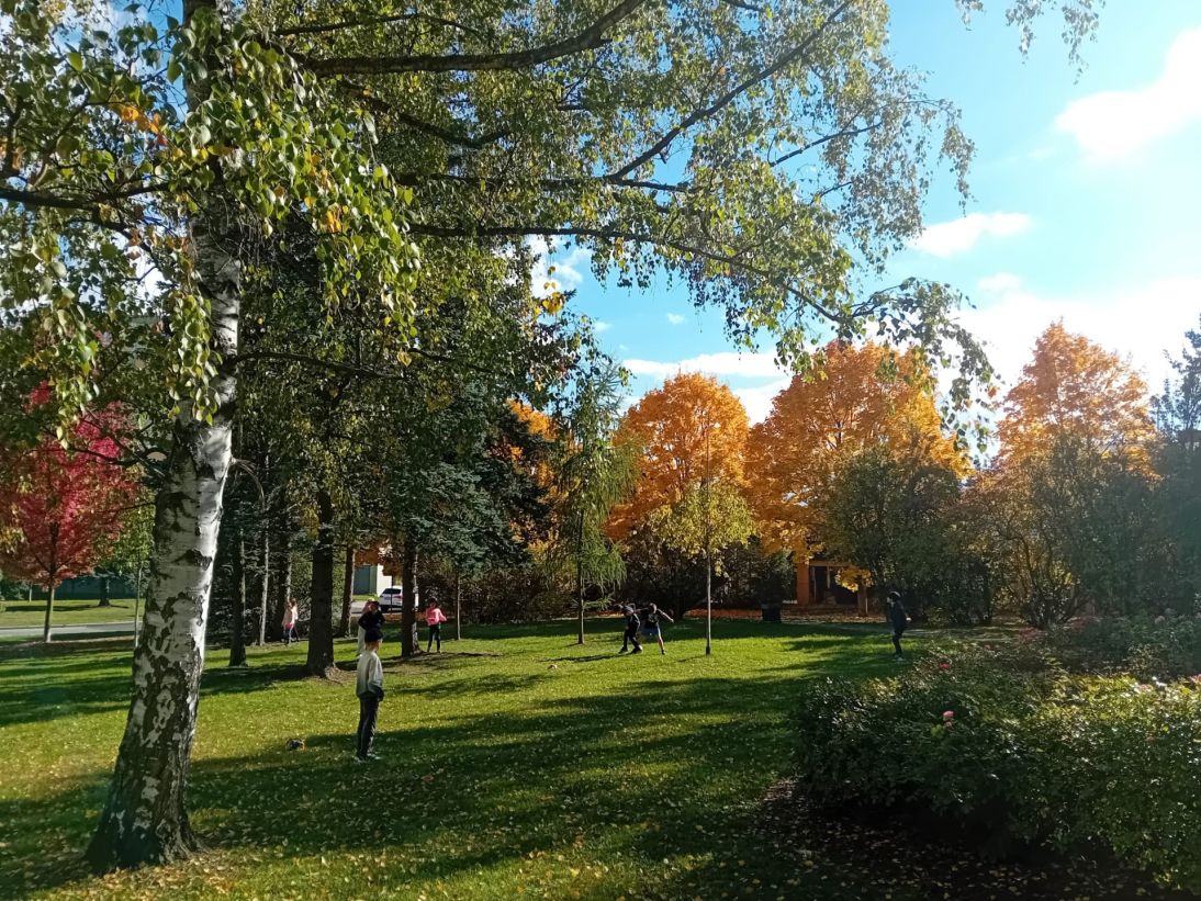 ded1391d-2086-4bec-8617-5326dfa99a70 ded1391d-2086-4bec-8617-5326dfa99a70