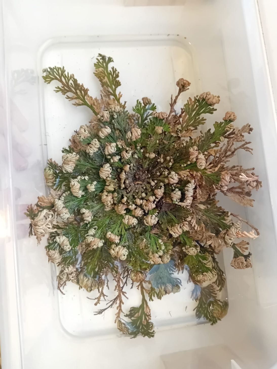 e842a1db-c409-4830-ab49-85f70ed9798d e842a1db-c409-4830-ab49-85f70ed9798d