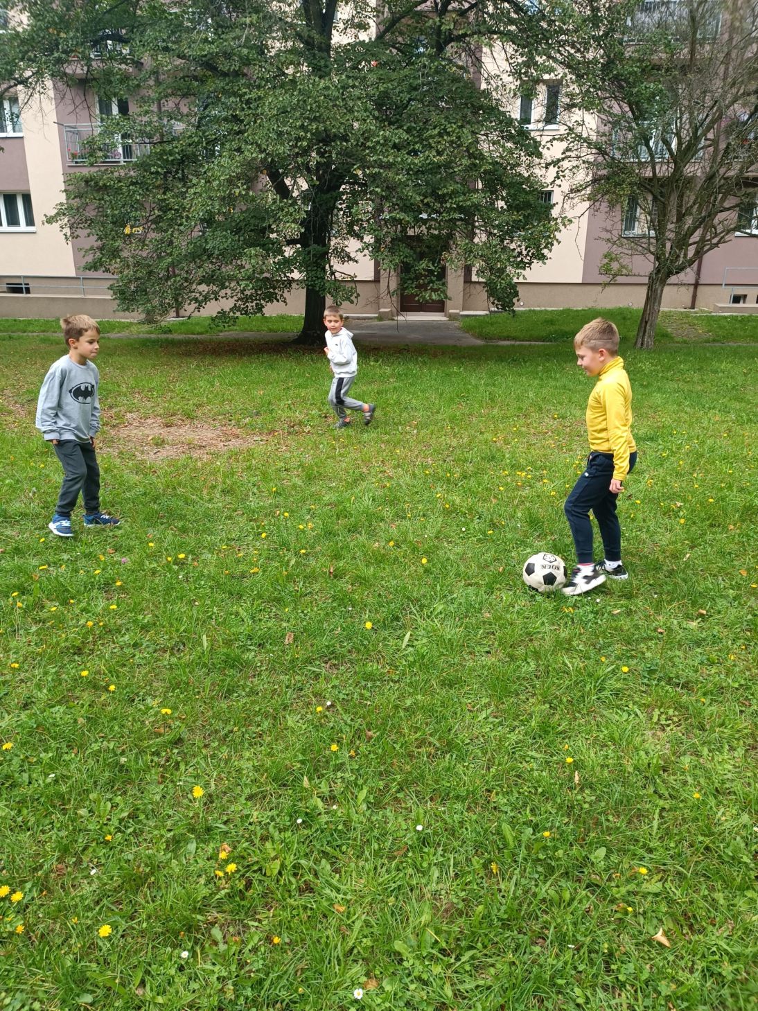 IMG_20250911_142527 IMG_20250911_142527