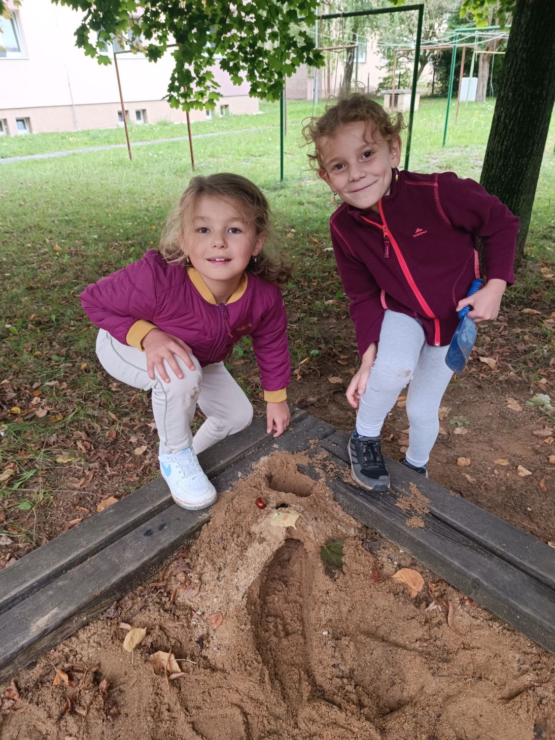 IMG_20250911_143902 IMG_20250911_143902