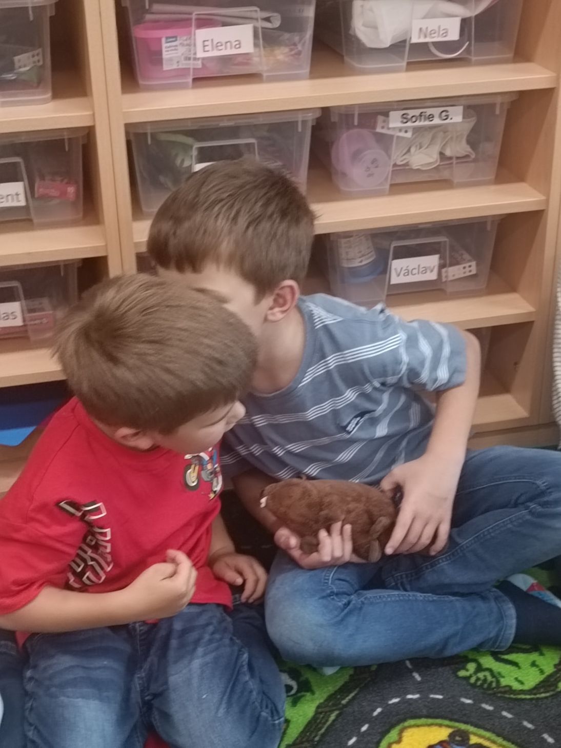 IMG_20250924_130842 IMG_20250924_130842