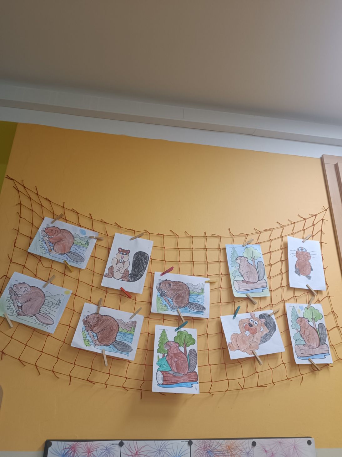 IMG_20250926_150014 IMG_20250926_150014