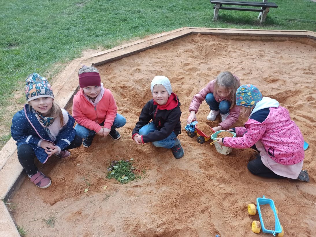 IMG_20251002_144527 IMG_20251002_144527