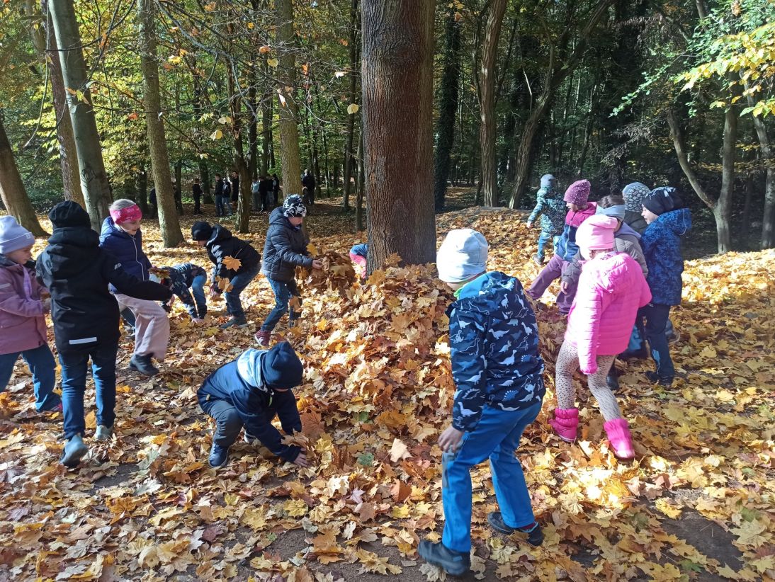 IMG_20251021_103727 IMG_20251021_103727