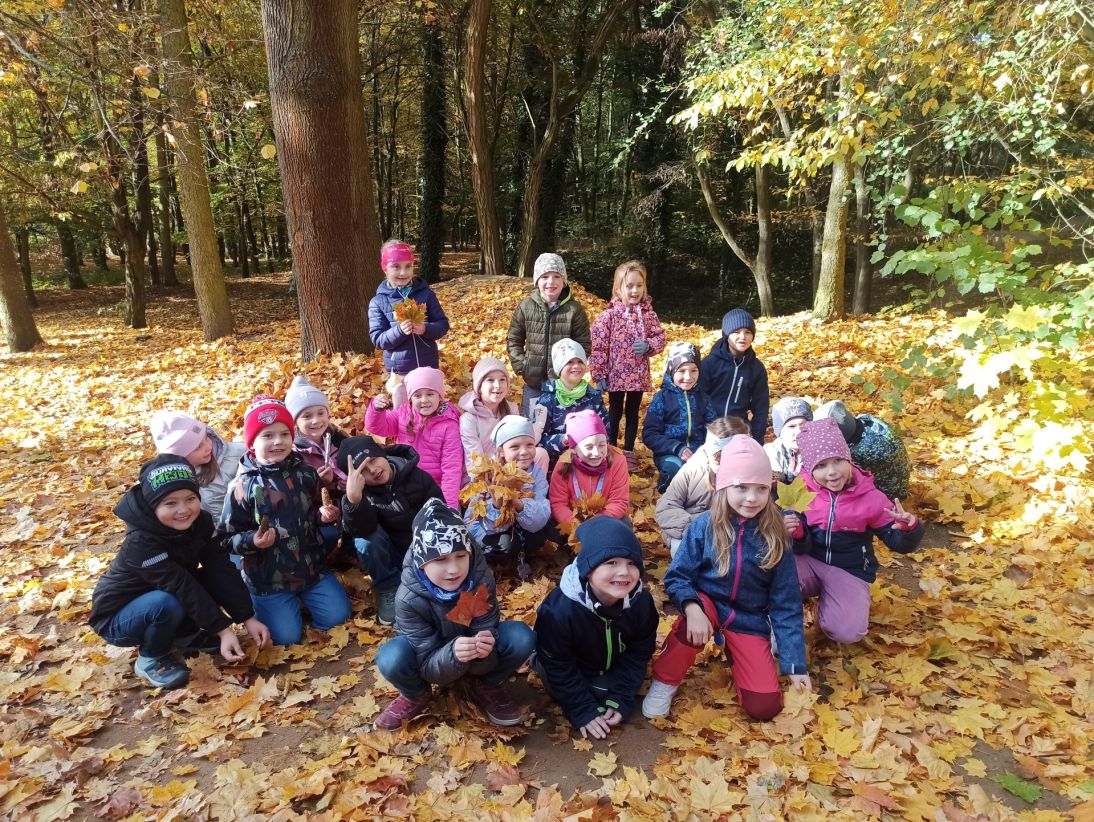 IMG_20251021_103822 IMG_20251021_103822