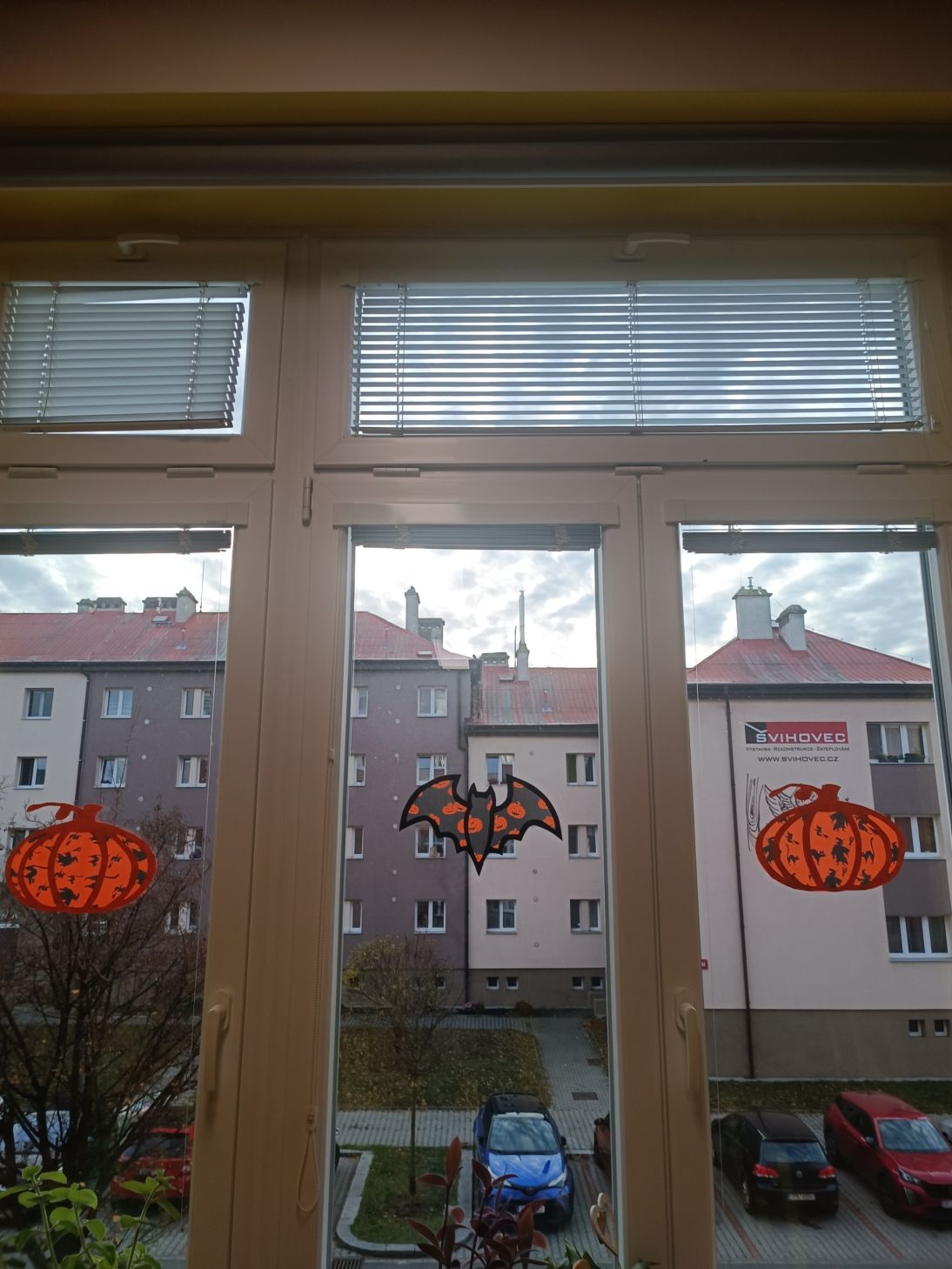 IMG_20251104_155347 IMG_20251104_155347