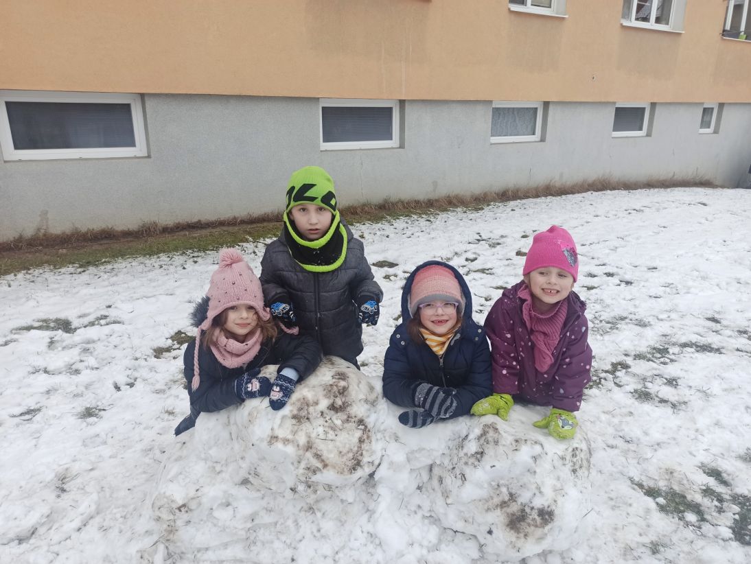 IMG_20260129_145135 IMG_20260129_145135