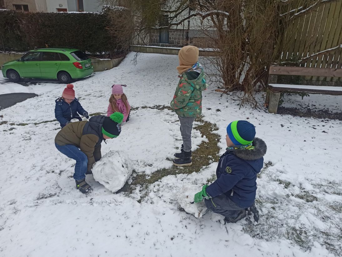 IMG_20260216_142157 IMG_20260216_142157