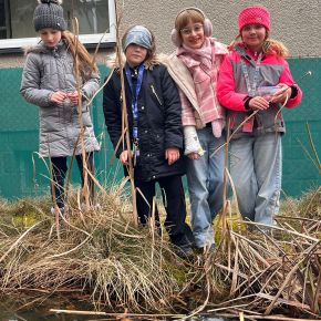 Návrat želvy do jezírka po dlouhé zimě. 